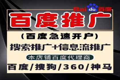 竞价SEM案例解析：电商行业营销策略